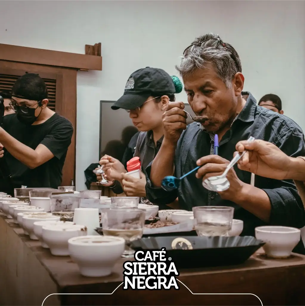 Cata con Sierra Negra en Coffe Lab Val'Quirico